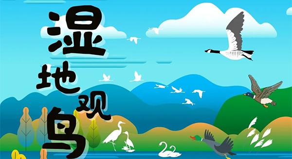 【獨(dú)立觀鳥一日營(yíng)】走進(jìn)白馬湖濕地，一起來(lái)探尋鳥兒的秘密